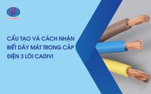 Dây Điện 3 Lõi Dây Nào Là Dây Mát? Hướng Dẫn Cách Nhận Biết Chuẩn Kĩ Thuật